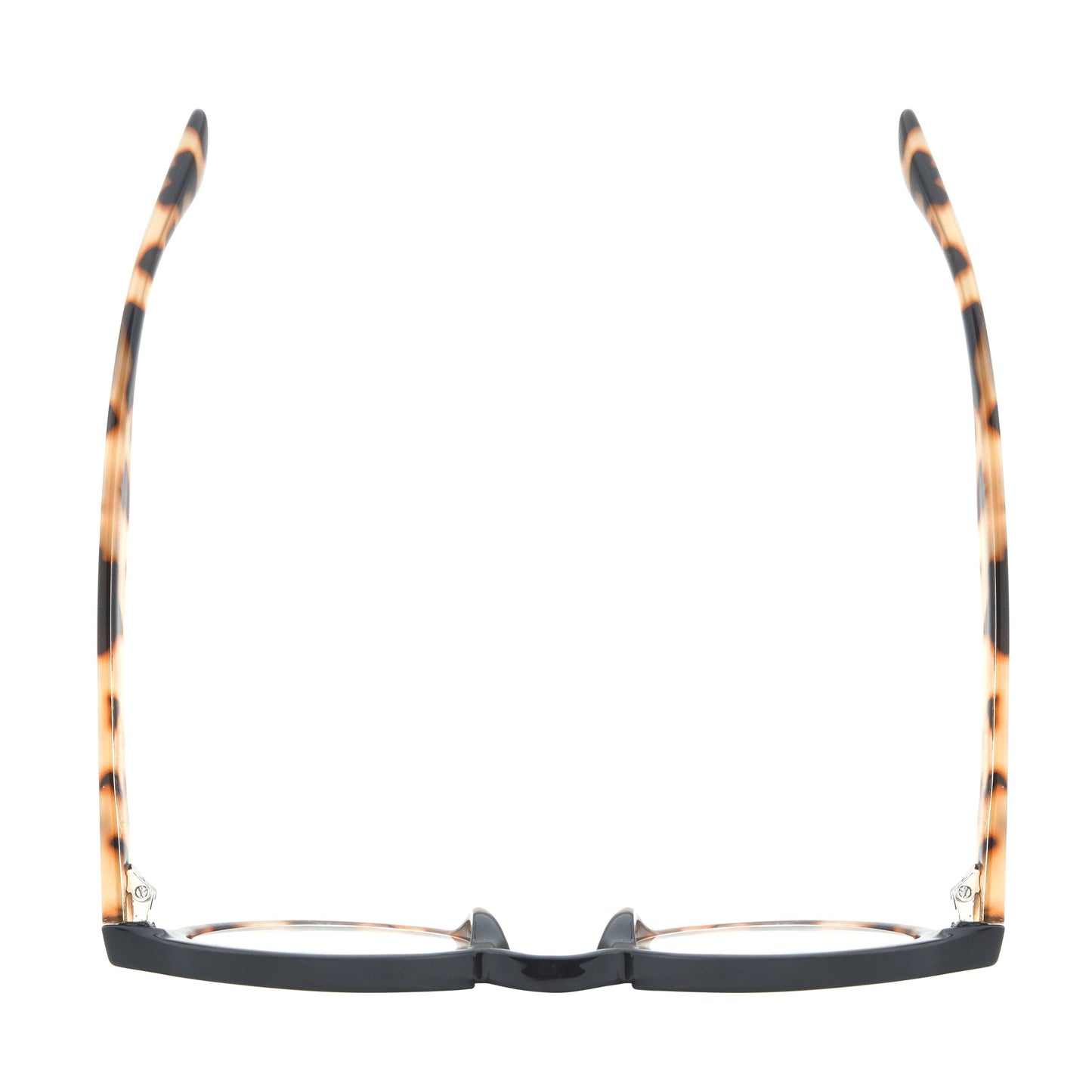 DAN | Black Tortoise | Blue Light