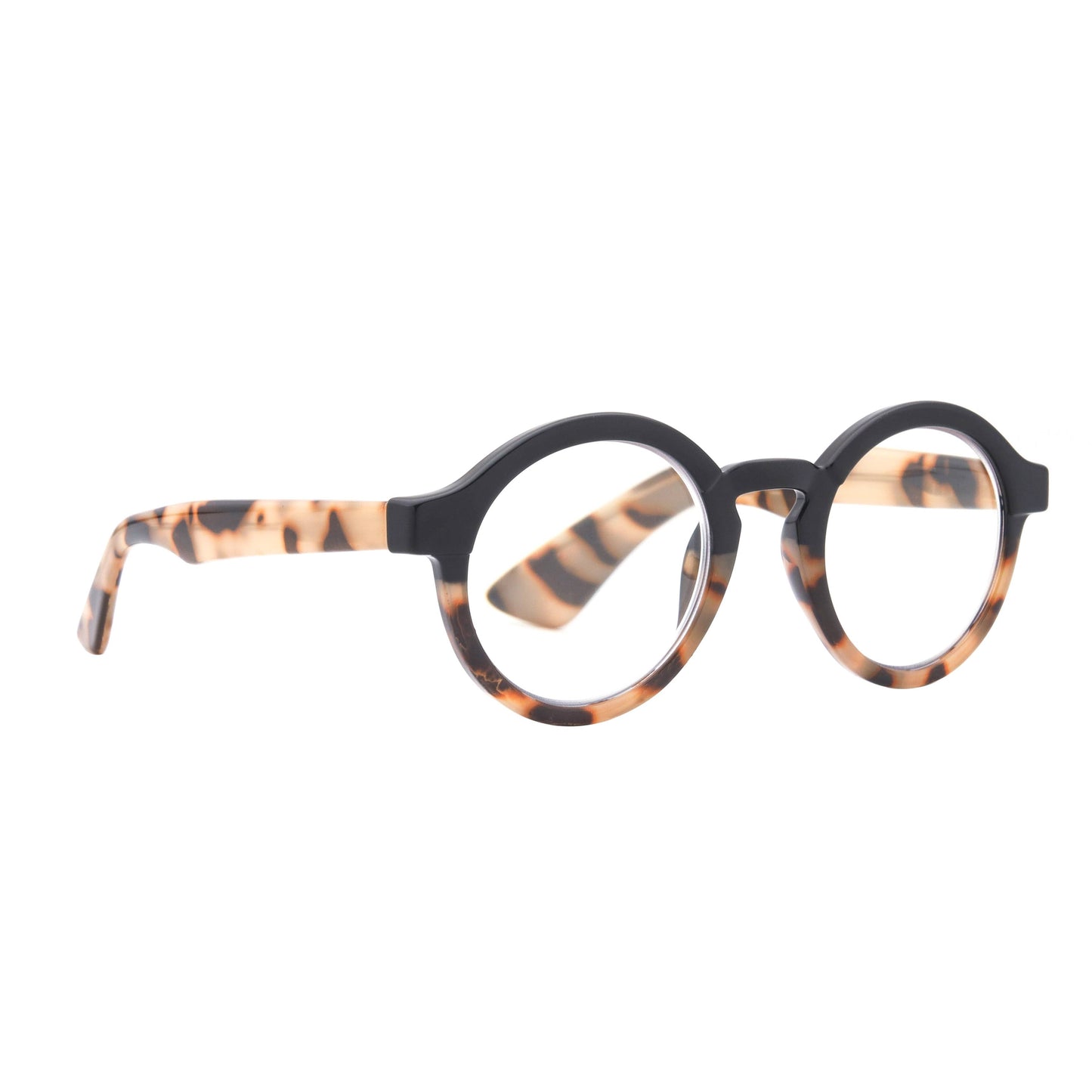 DAN | Black Tortoise | Blue Light