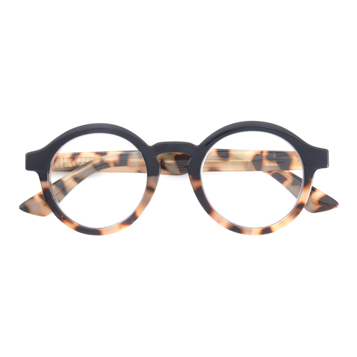 DAN | Black Tortoise | Blue Light