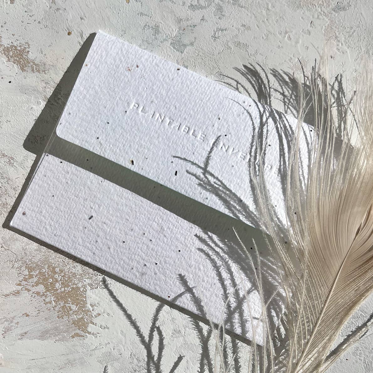 Abundance - Birthday Card