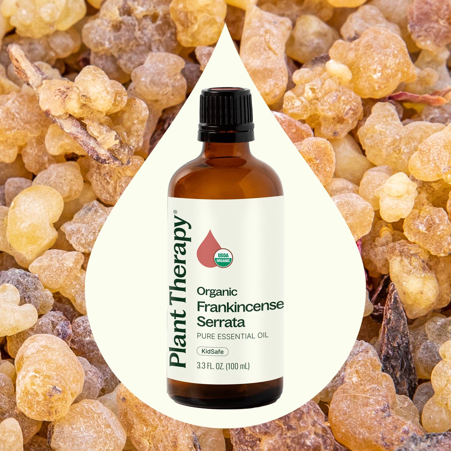 Organic Frankincense Serrata Essential Oil 100 mL