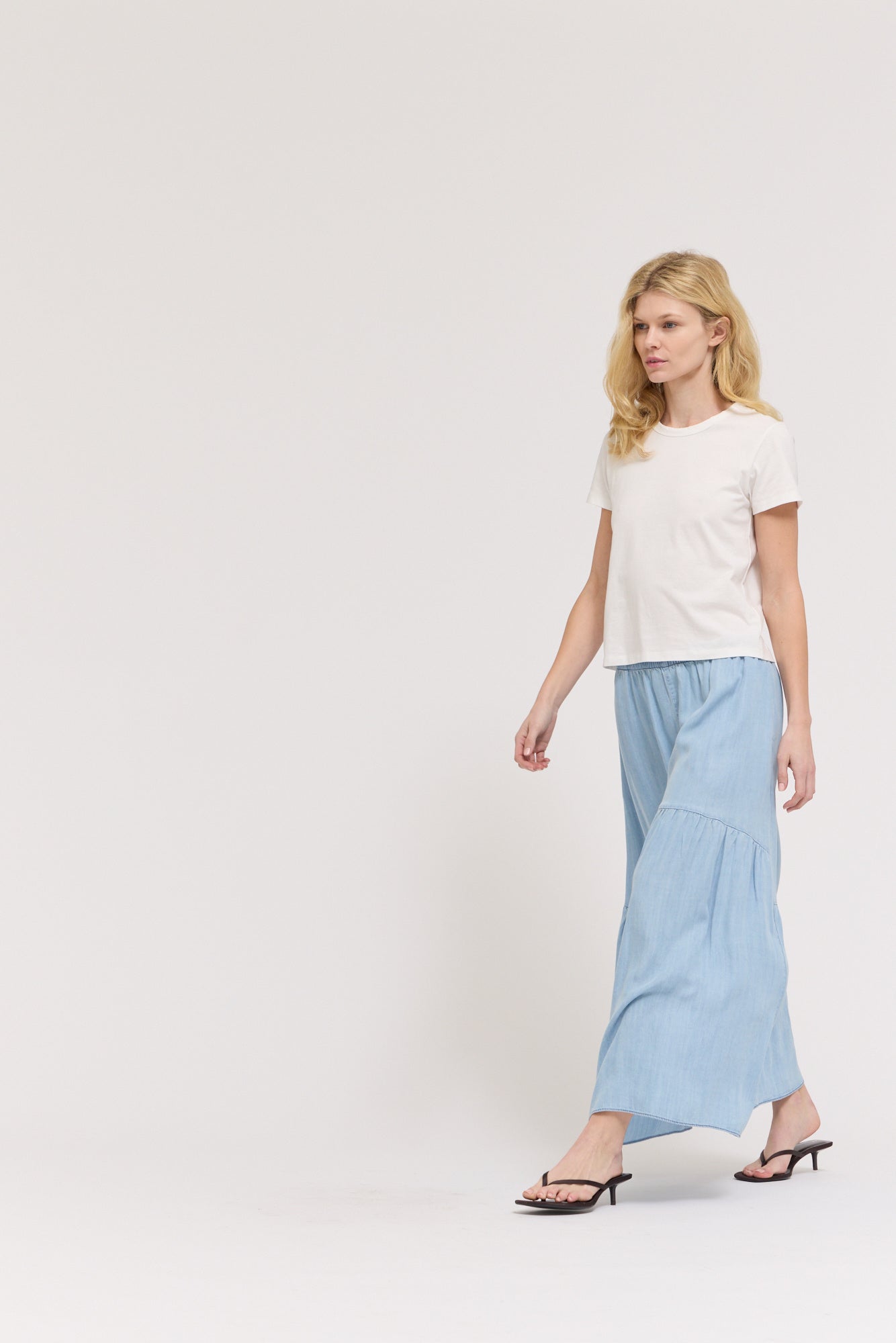Chambray Skirt