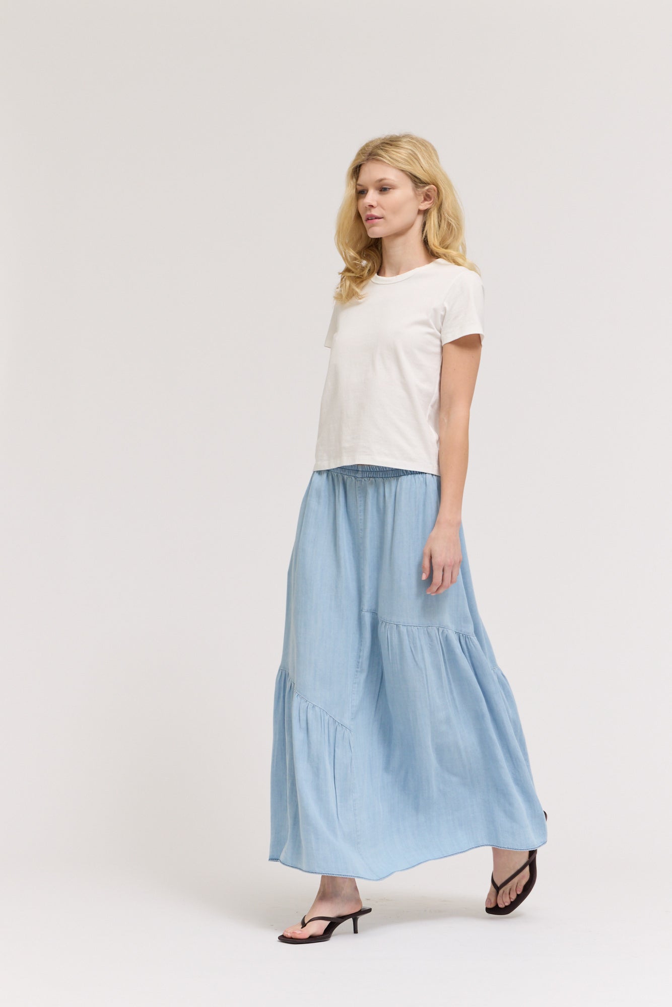 Chambray Skirt