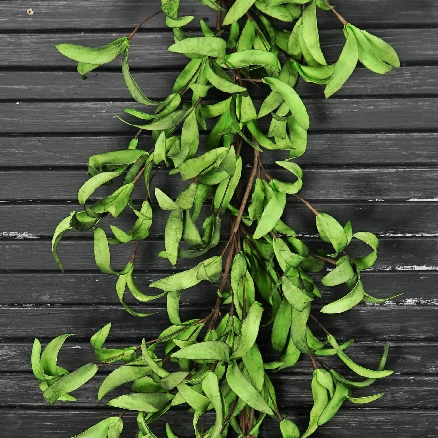 ISB68581- 4ft Garland-Mix Green Herbs