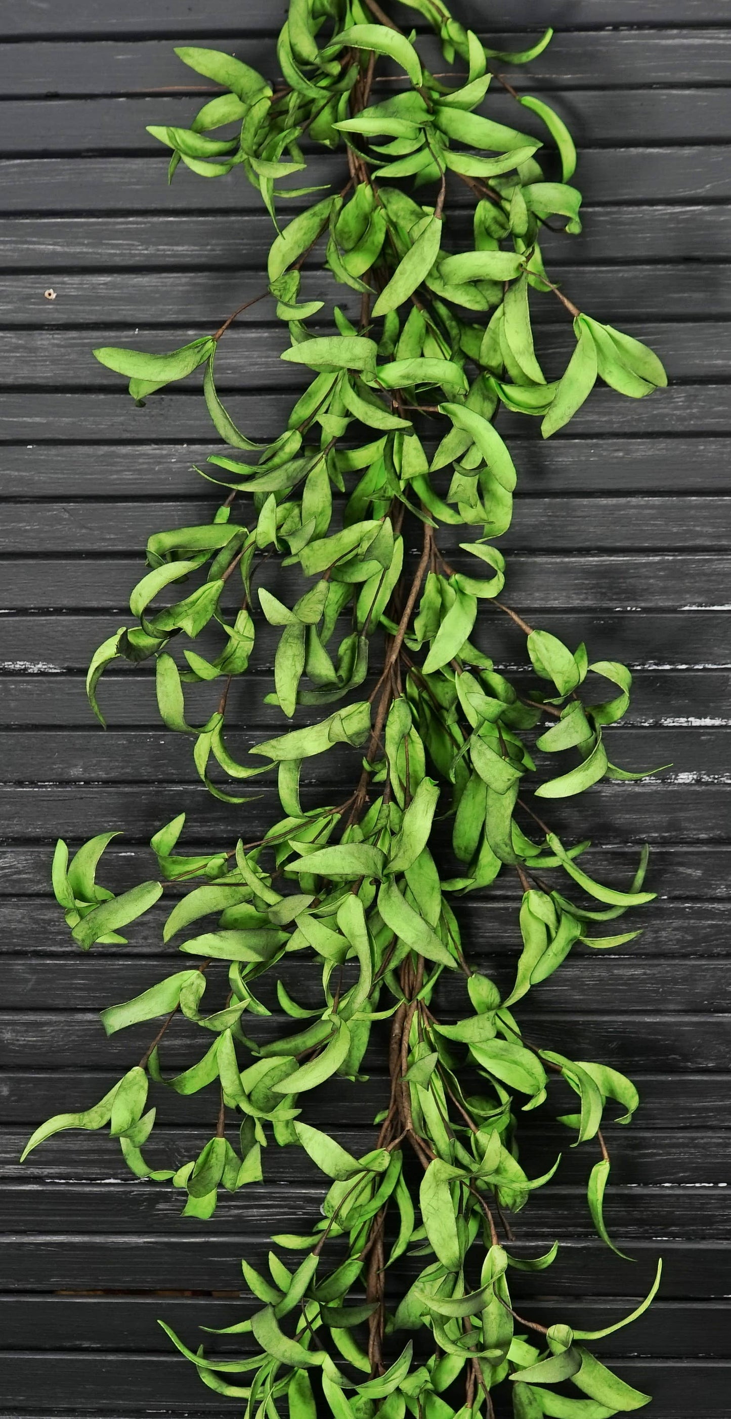 ISB68581- 4ft Garland-Mix Green Herbs