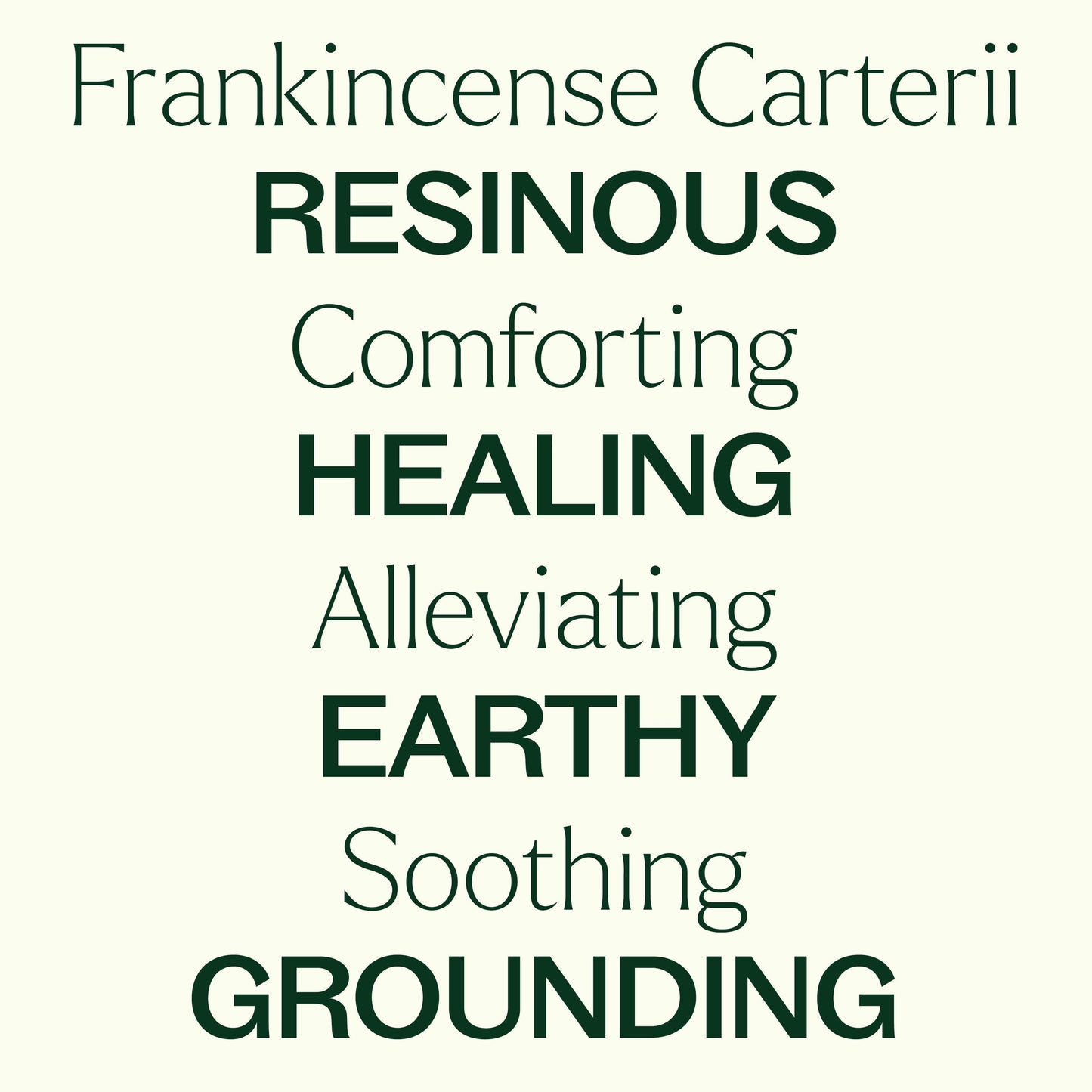 Organic Frankincense Carterii Essential Oil 10 mL
