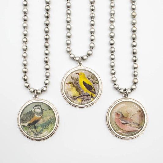 Large Chunky Silver Necklace - vintage bird imagery, birding