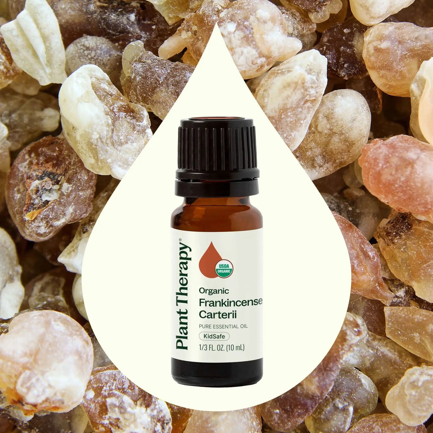 Organic Frankincense Carterii Essential Oil 10 mL