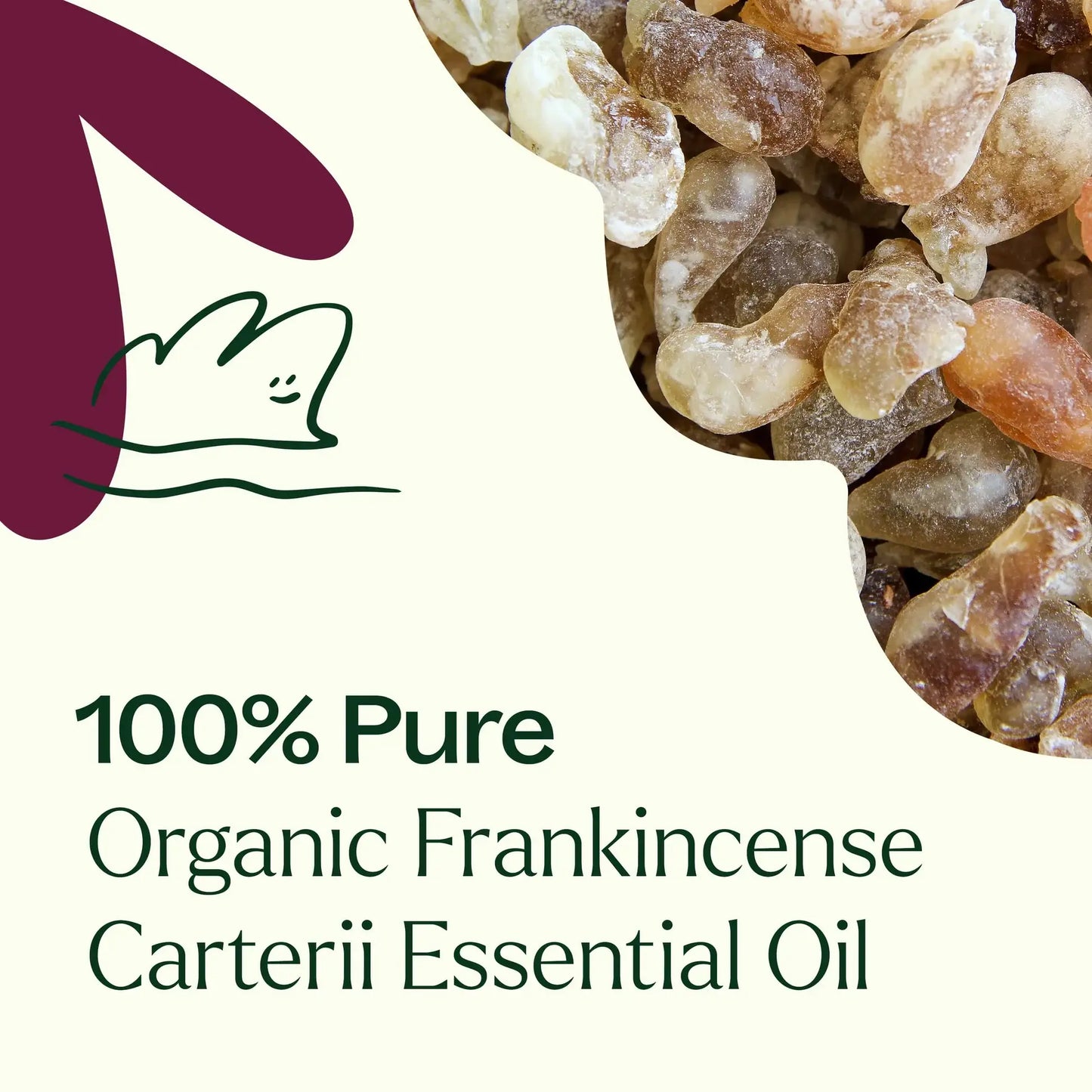 Organic Frankincense Carterii Essential Oil 10 mL