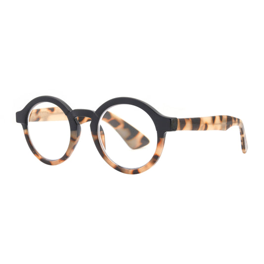 DAN | Black Tortoise  | Blue Light